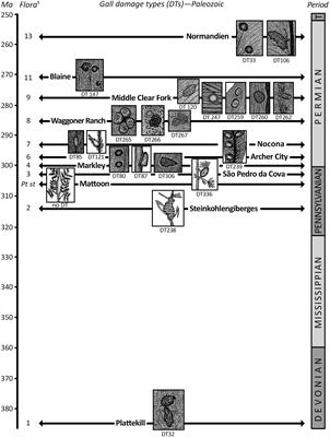 Ecology and Evolution of Gall-Inducing Arthropods: The Pattern From the Terrestrial Fossil Record
